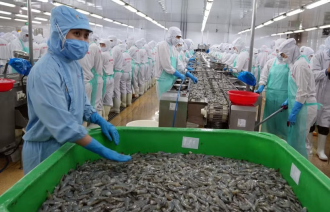 Vietnam&rsquo;s aquatic exports rise 12.8% in first half of 2026